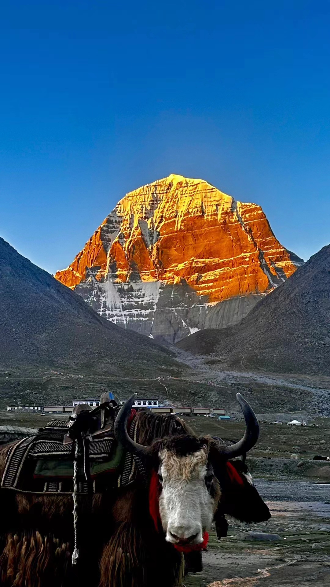 Mt. Kailash